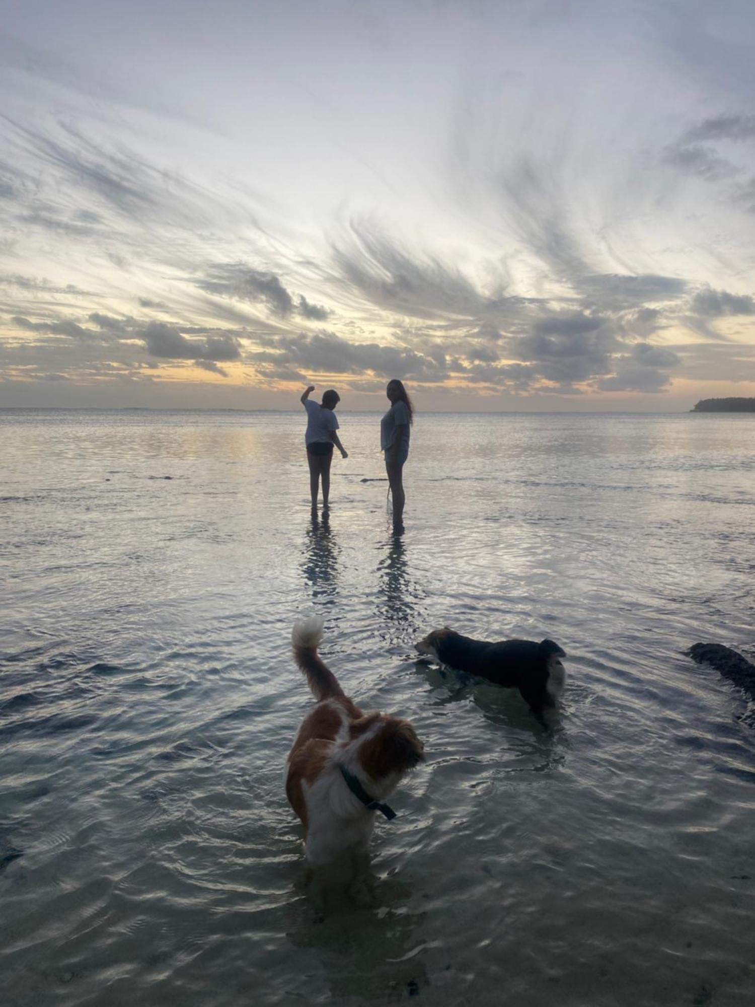 Vacation Beach House South Of Mauritius - Riambel エクステリア 写真